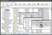 SizeExplorer Pro