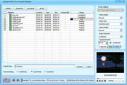 DDVideo SWF to FLV Converter Standard