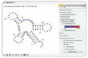 clc sequence viewer einstein university