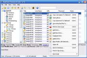 KeePass Password Safe Professional Edition