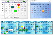 TMS Planner Calendars and DatePickers