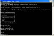 Apache HTTP Server For Linux段首LOGO