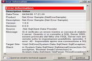 Softgroup .Net Error Object