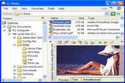 File Viewer
