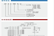 SM自拍男同女同其它吃瓜传媒AI视频动