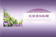 博鱼综合体育官方网站