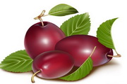 新利体育官网登录新利体育APP下载