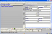 Project Manager Organizer Pro