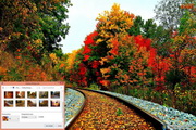 Autumn Tracks Windows 7 Theme