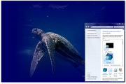 Sea Turtle Windows Theme 1.0