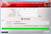 Oracle Password Auditor 3.0