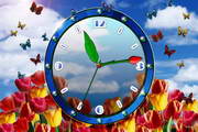 Tulip Clock ScreenSaver