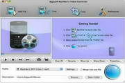 Bigasoft BlackBerry Video Converter