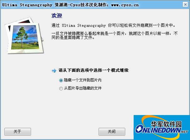 把文件隐藏到图片中(Ultima Steganography)