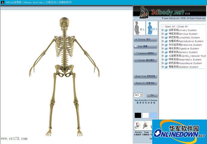 3d人体解剖软件