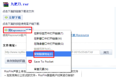 RaySource(下载工具)