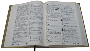中文字典专题