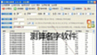 测算名字软件