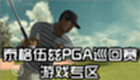 泰格伍兹PGA巡回赛游戏专区