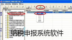 納稅申報(bào)系統(tǒng)軟件