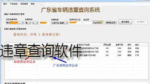 违章查询软件下载