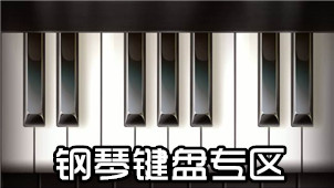 钢琴键盘专区