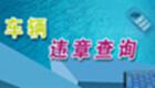 违章查询全国大全