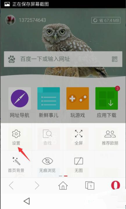 Opera浏览器截图