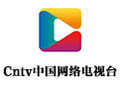 Cntv中國網(wǎng)絡電視臺段首LOGO