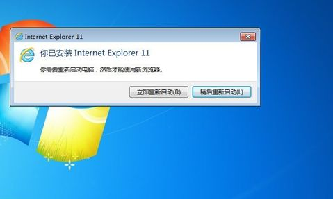 IE11(Internet Explorer 11)