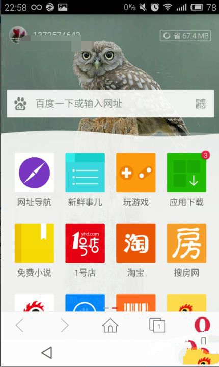 欧朋浏览器(opera浏览器)