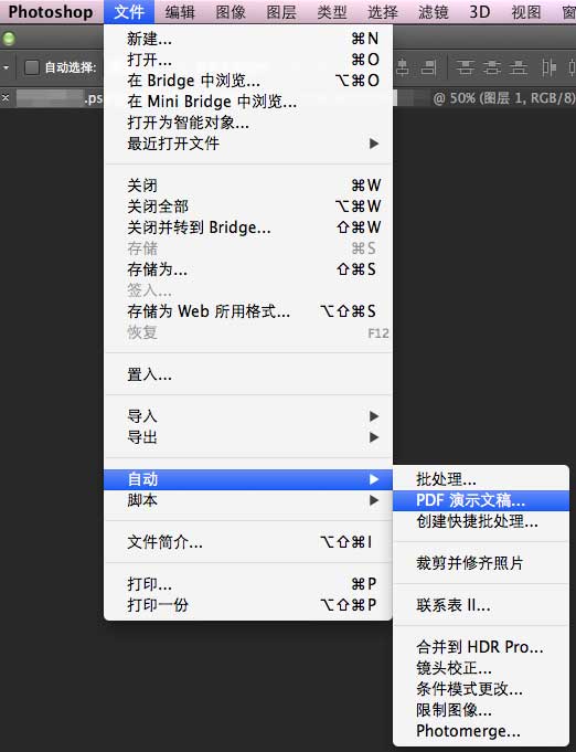 Photoshop CS4截圖