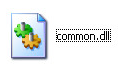 common.dll段首LOGO