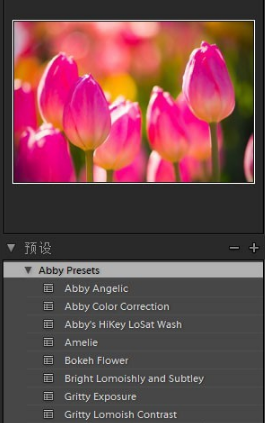 Adobe Photoshop Lightroom截圖