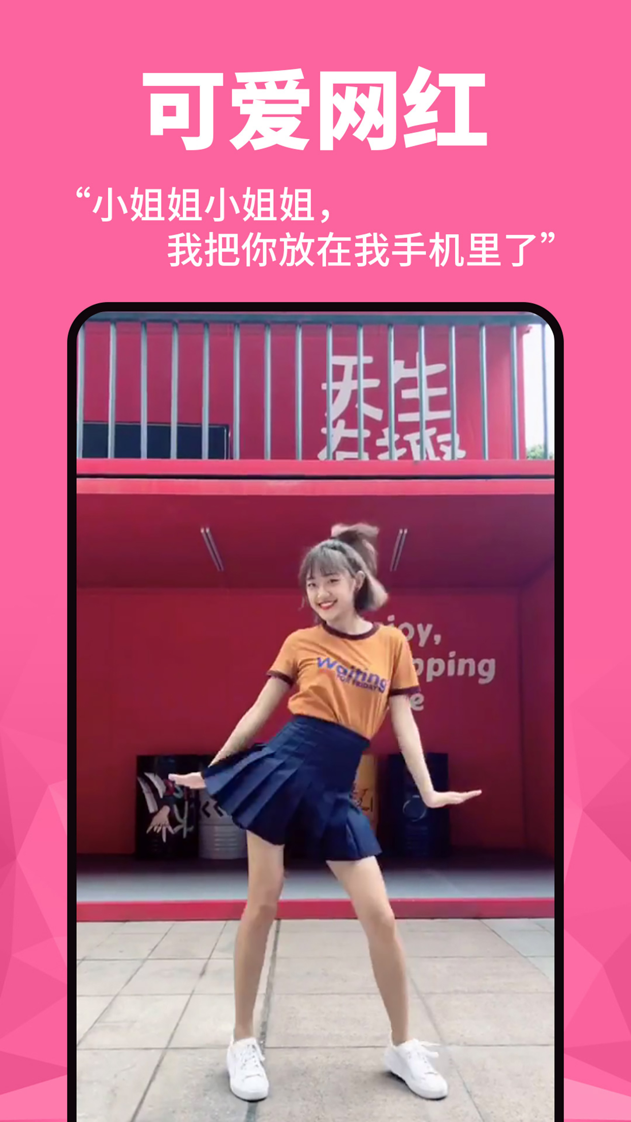 壁纸菌