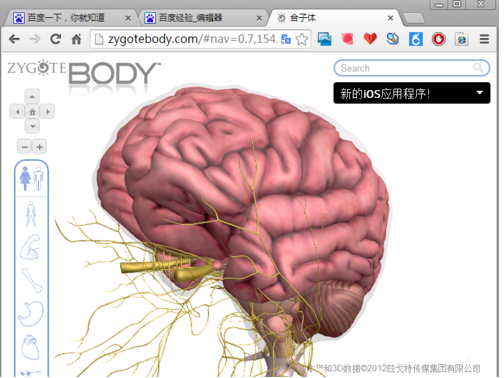 谷歌人體瀏覽器截圖