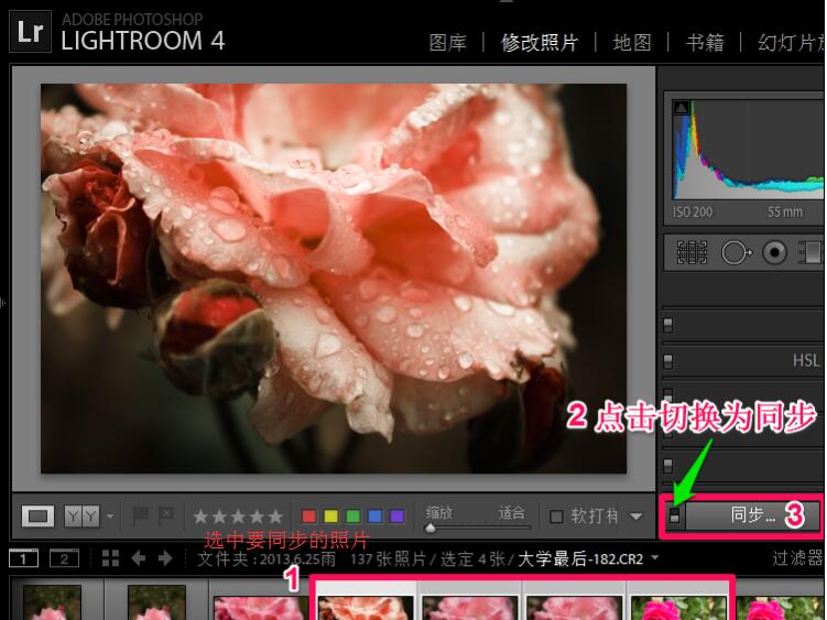 Adobe Photoshop Lightroom截图