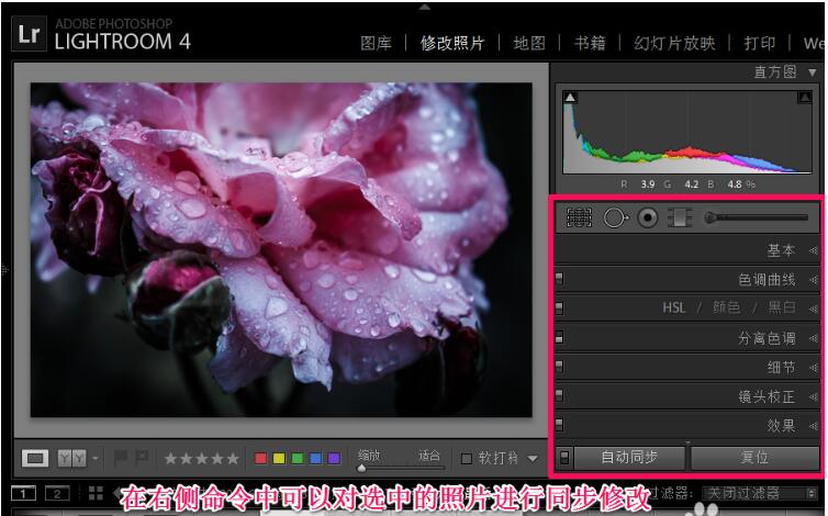 Adobe Photoshop Lightroom截图