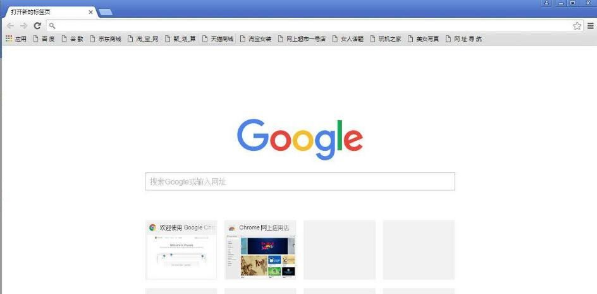  Screenshot of Google Browser