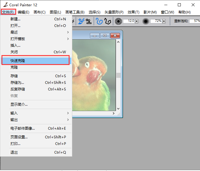 Corel Painter截圖