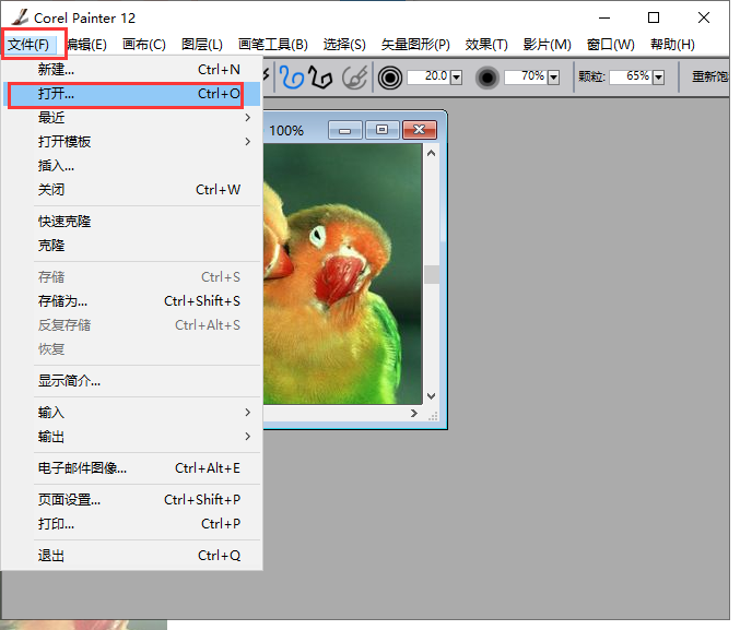 Corel Painter截圖