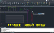 CAD看图王段首LOGO