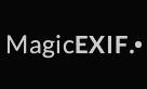 MagicEXIF 元数据编辑器