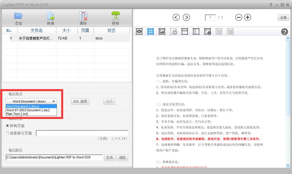 Lighten PDF to Word OCR截图