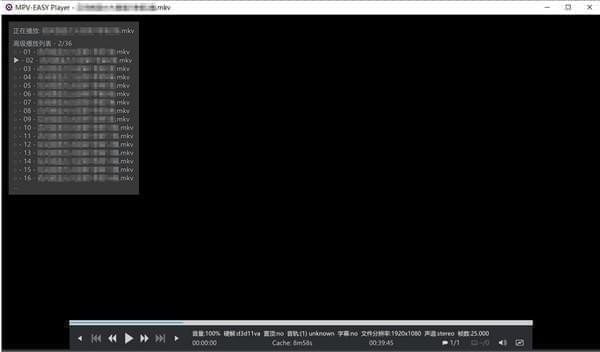 MPV-EASY Player截图