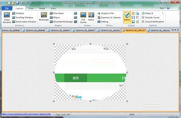 EximiousSoft Screen Capture