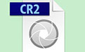 CR2 Codec段首LOGO