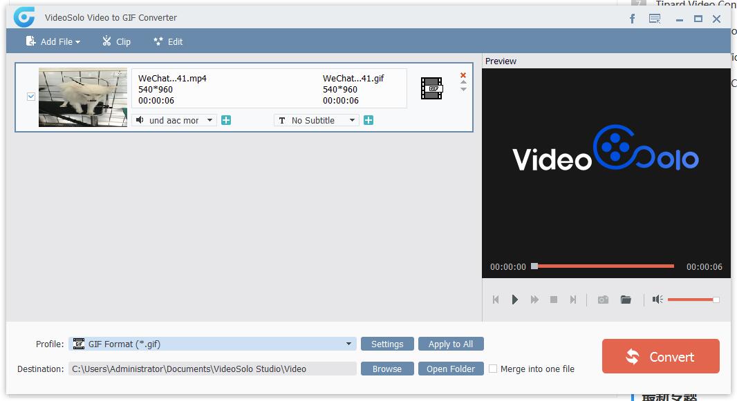 VideoSolo Video to GIF Converter