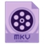 Dimo MKV Video Converter