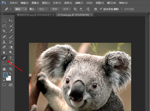  Photoshop screenshot